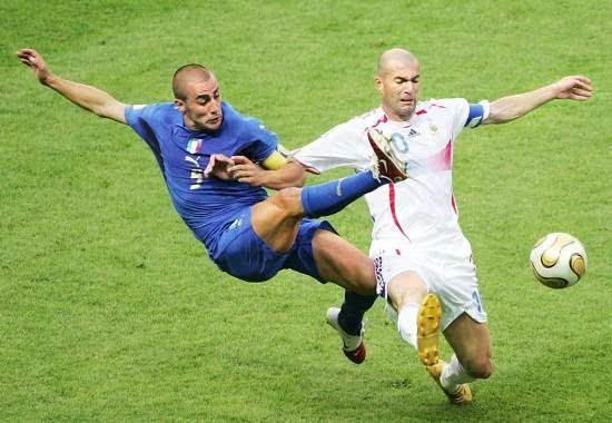 许多国际专 许多国际专