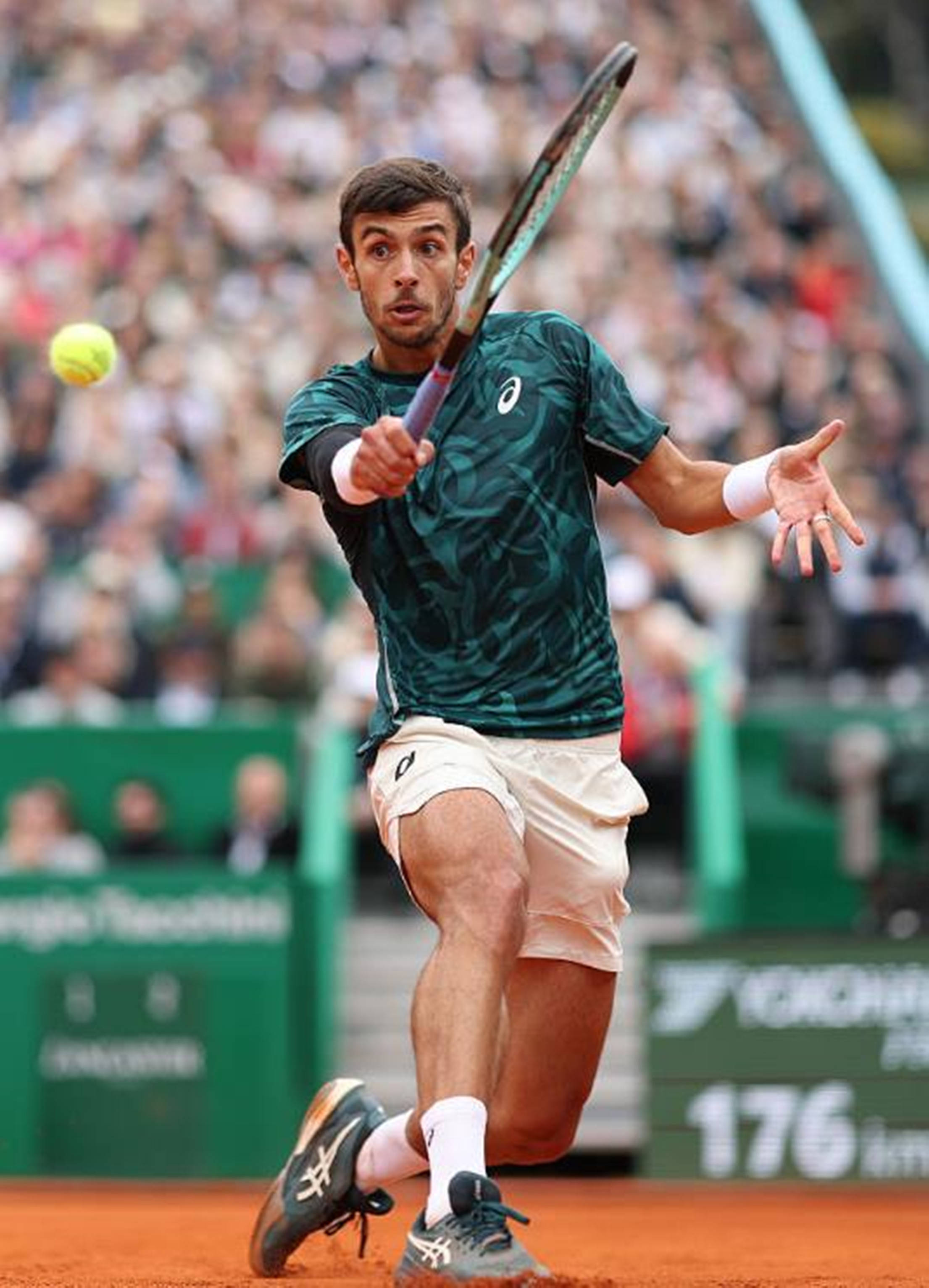 这也印证了 这也印证了