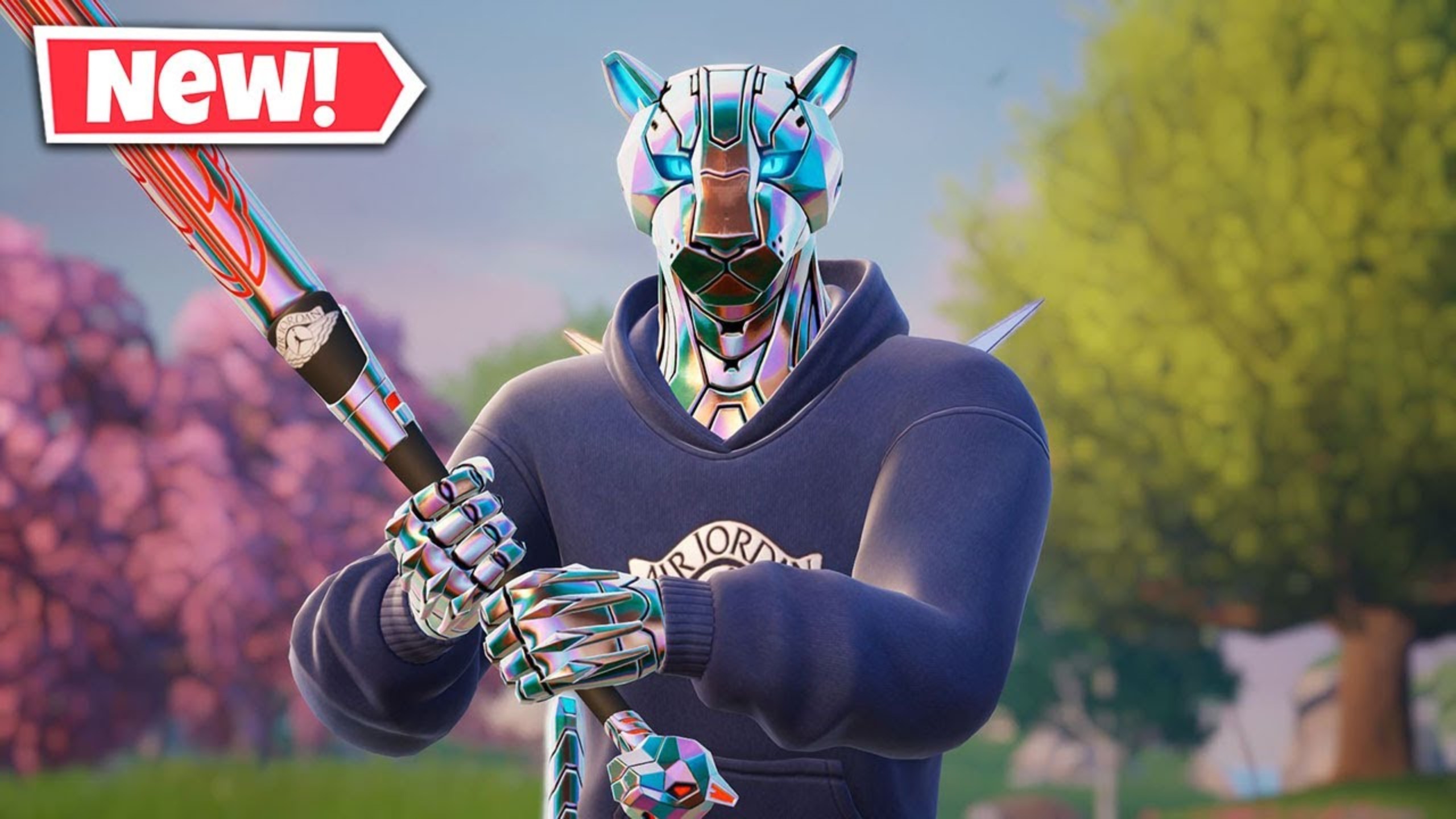 这成了球队 这成了球队